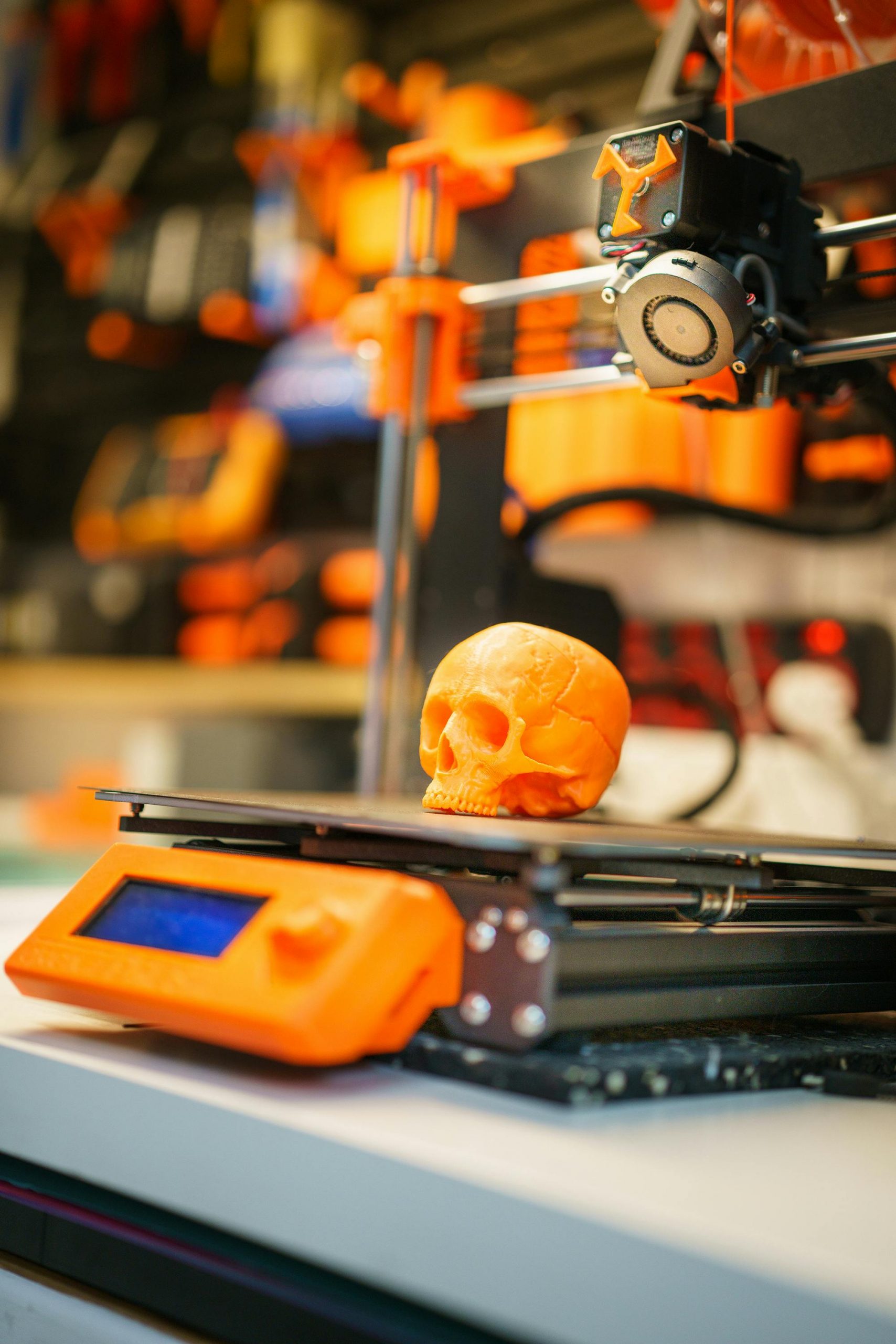 3D Printer Skull